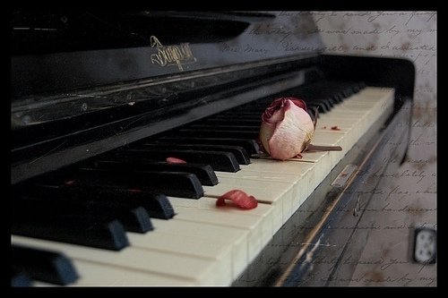 钢琴图片唯美