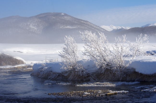 河岸边霜冻景观图片