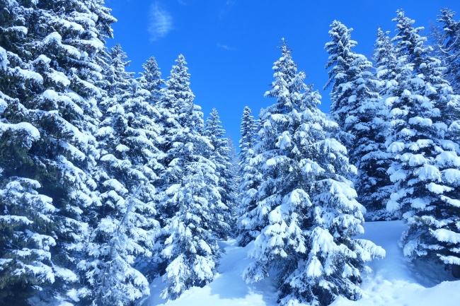 寒冬雪山景观摄影图片
