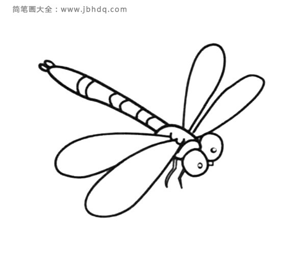 简笔画图片蜻蜓