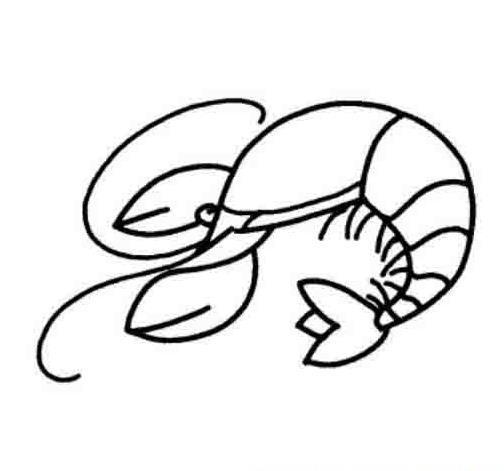 小龙虾简笔画卡通，简单易上手