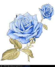 玫瑰花图片简笔画手绘蓝色