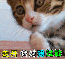 可爱猫咪表情包图片_最有趣的小猫咪