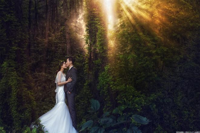 唯美森林系的婚纱照图片