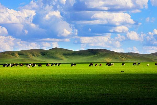 内蒙古大草原图片壁纸
