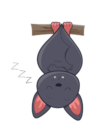 萌萌哒的蝙蝠卡通图片