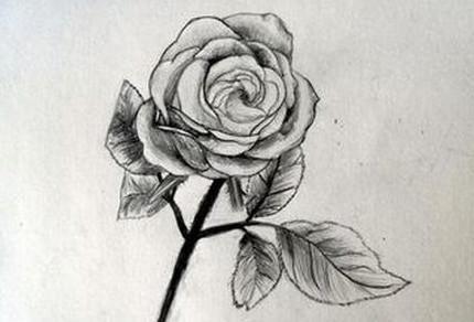 铅笔画玫瑰花图片，愿你一直相信爱