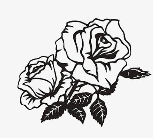 玫瑰花黑白图片，给自己一个信仰，不必一路慌张