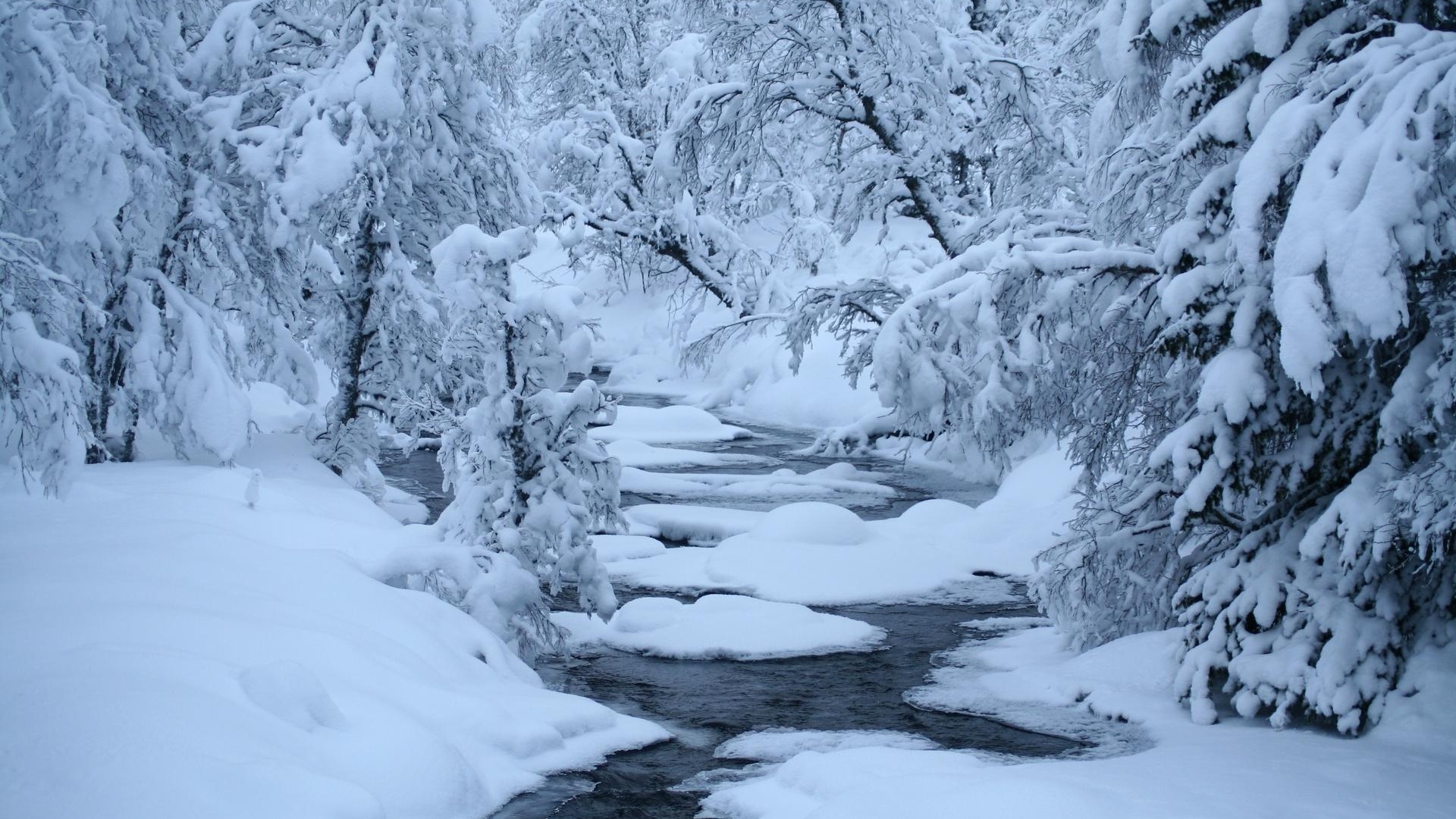 雪景壁纸精选好看的自然风景冬天雪景高清电脑桌面壁纸下载5p 手机壁纸 优美图