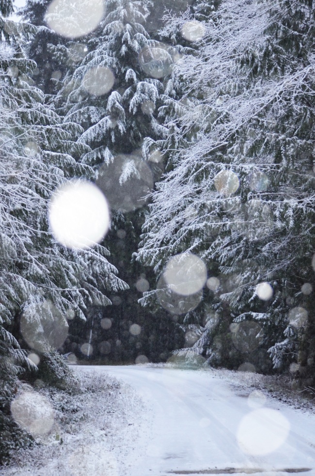 下雪很美的夜图片 雪景图片 优美图