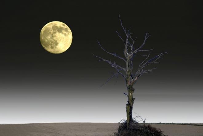夜空中唯美的月亮图片 朦胧的月亮图片