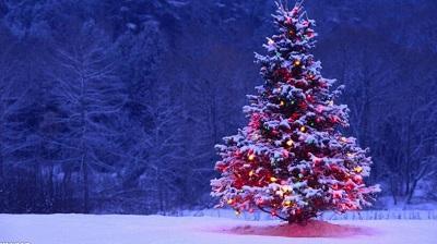 圣诞节图片_世界上最昂贵的圣诞树
