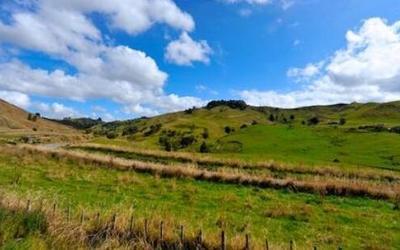 新西兰乡村田园风景图片