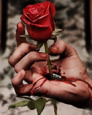 玫瑰花流血的图片，而不愿做一个最伟大的无梦想无愿望的人