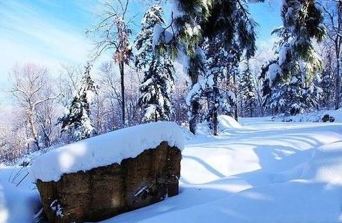 冬天雪景拍摄图片 相信爱永不灭